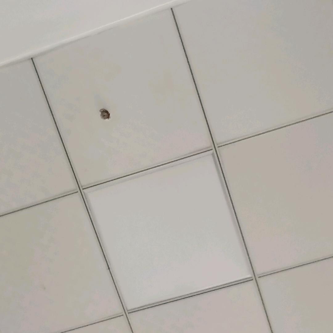 陆一$死火球