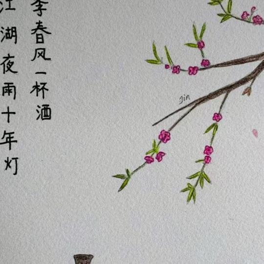 清💗风