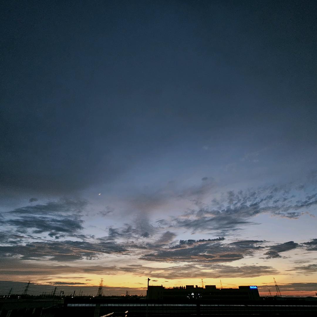 一只鸯🐏