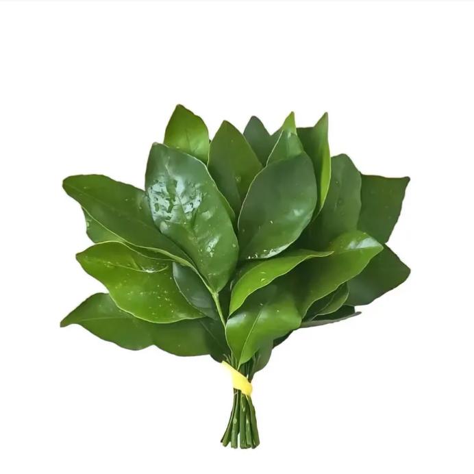 _17~