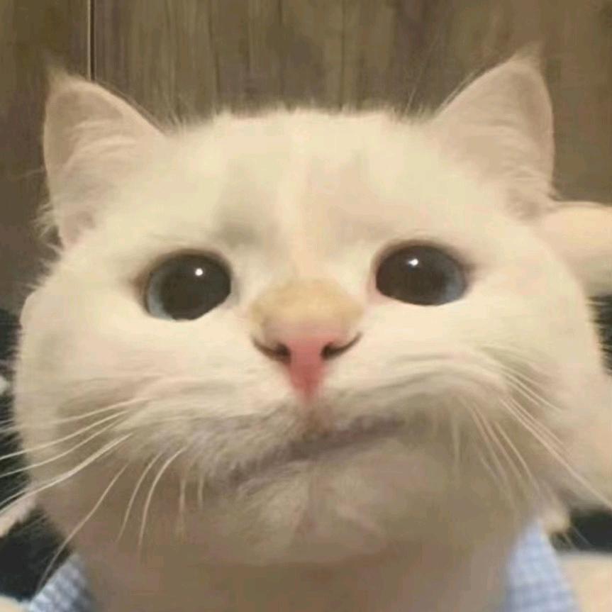 賅炡