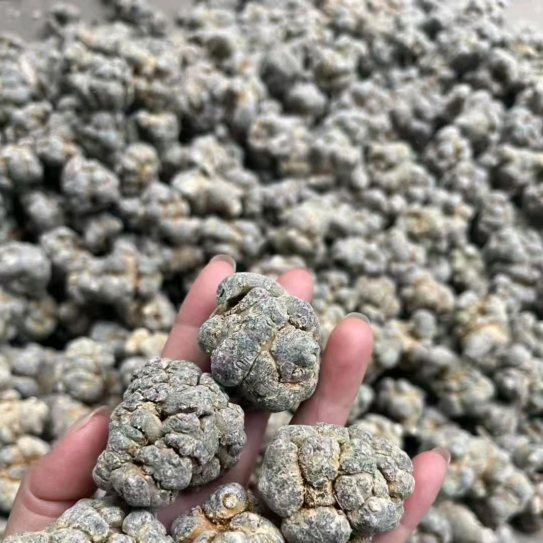 浪迹天涯，四海为家