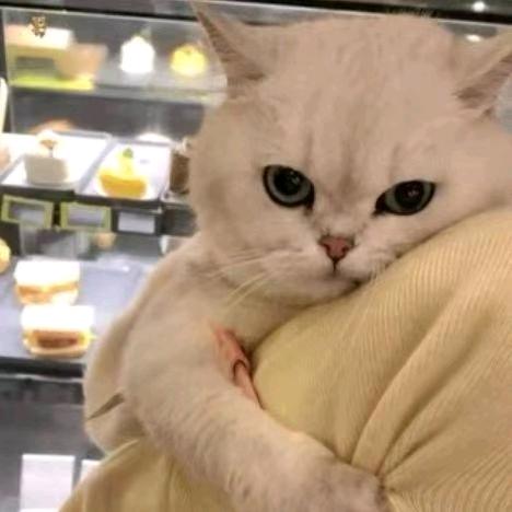 小号(卖辣酱版)