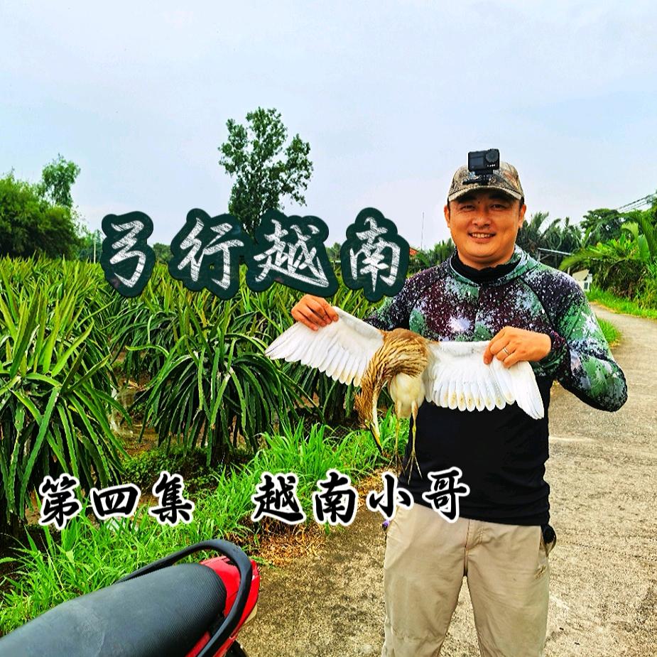 弓行天下——光君