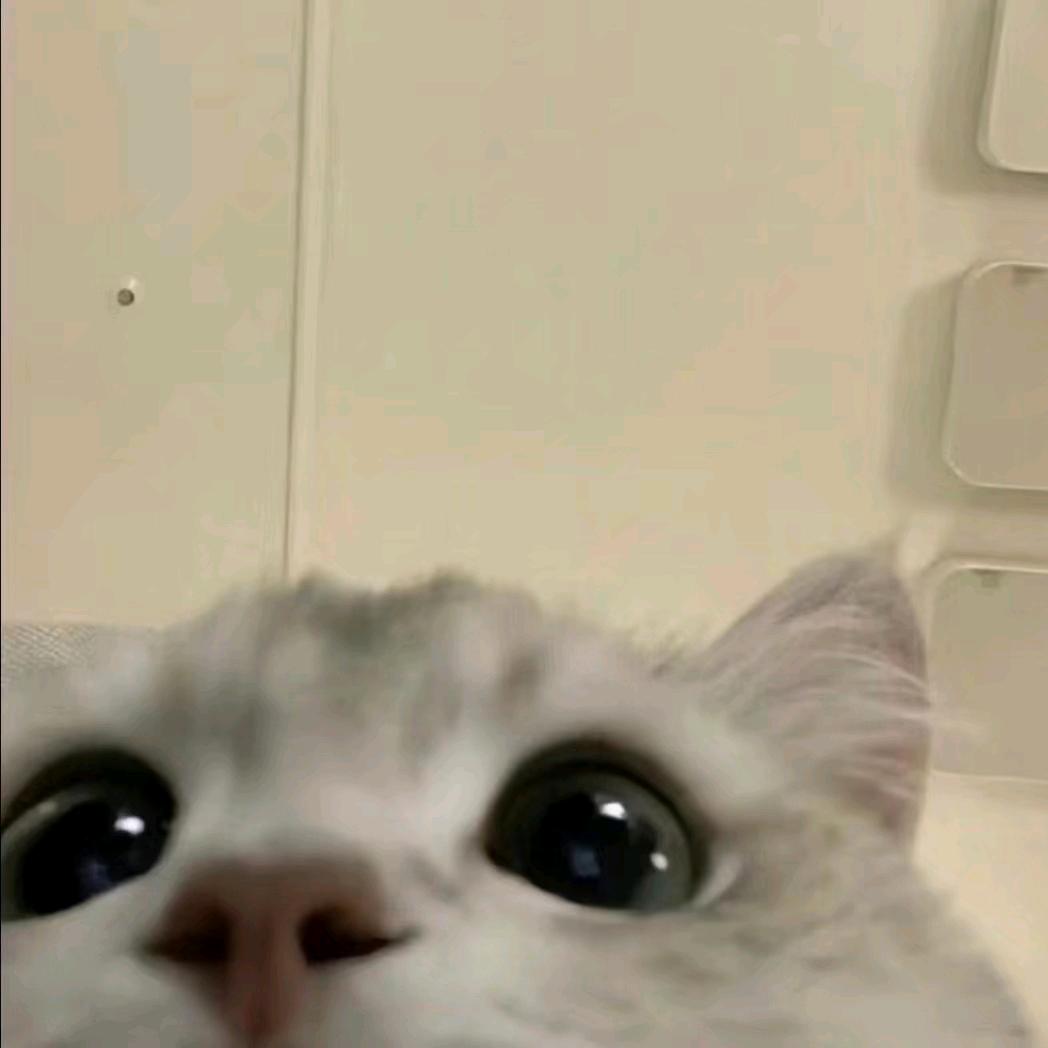 寒山远