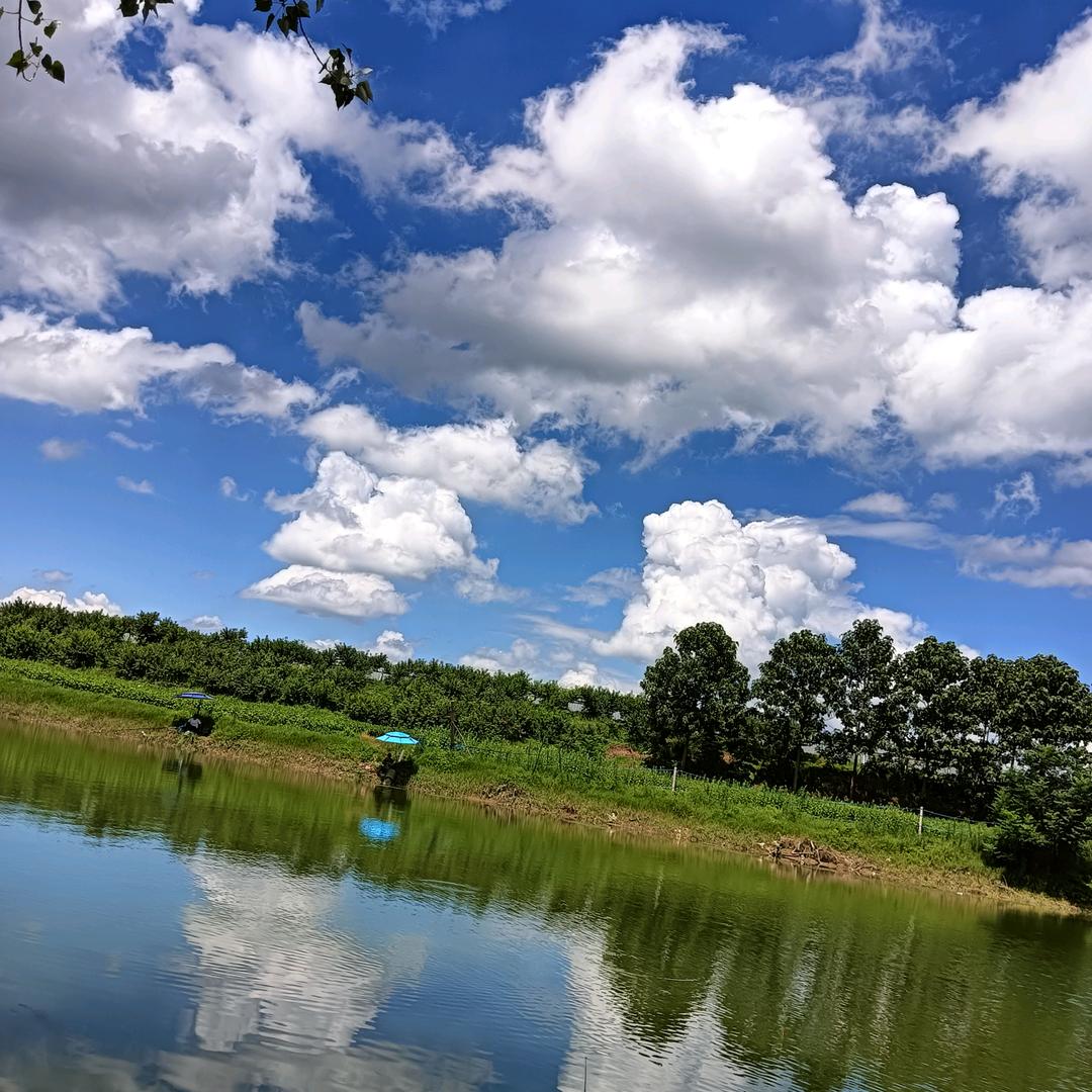 心平浪静！专心稿钱