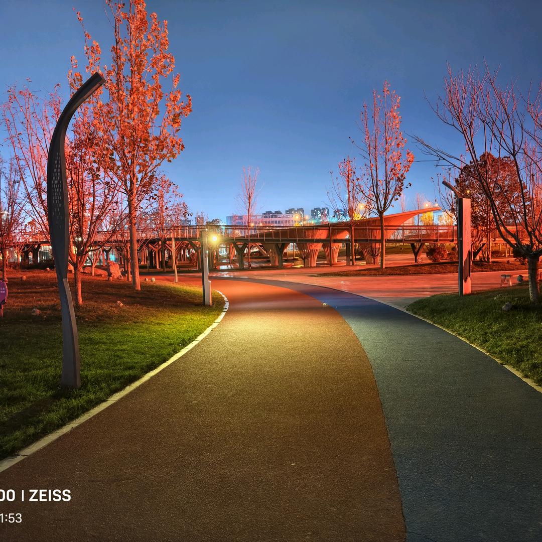 大聪明🐑与小可爱🐤