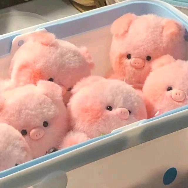 怜づ熙🍬