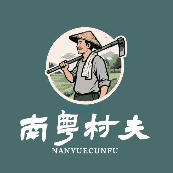 南粤村夫精选桂圆