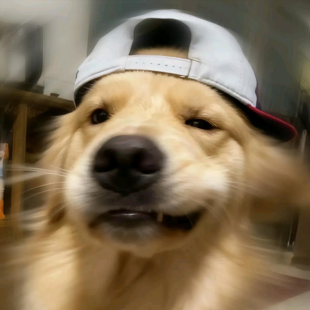 zula🔥