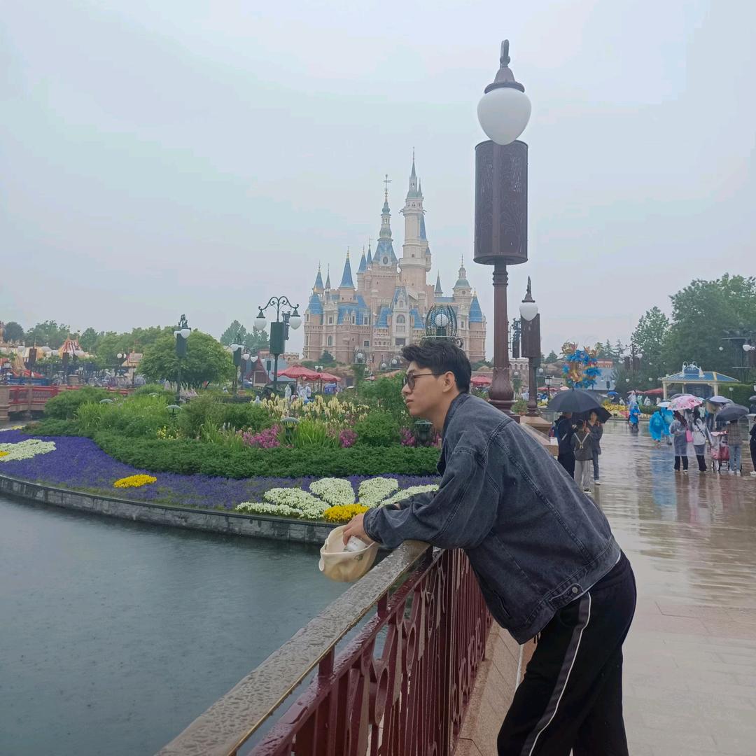 无迪