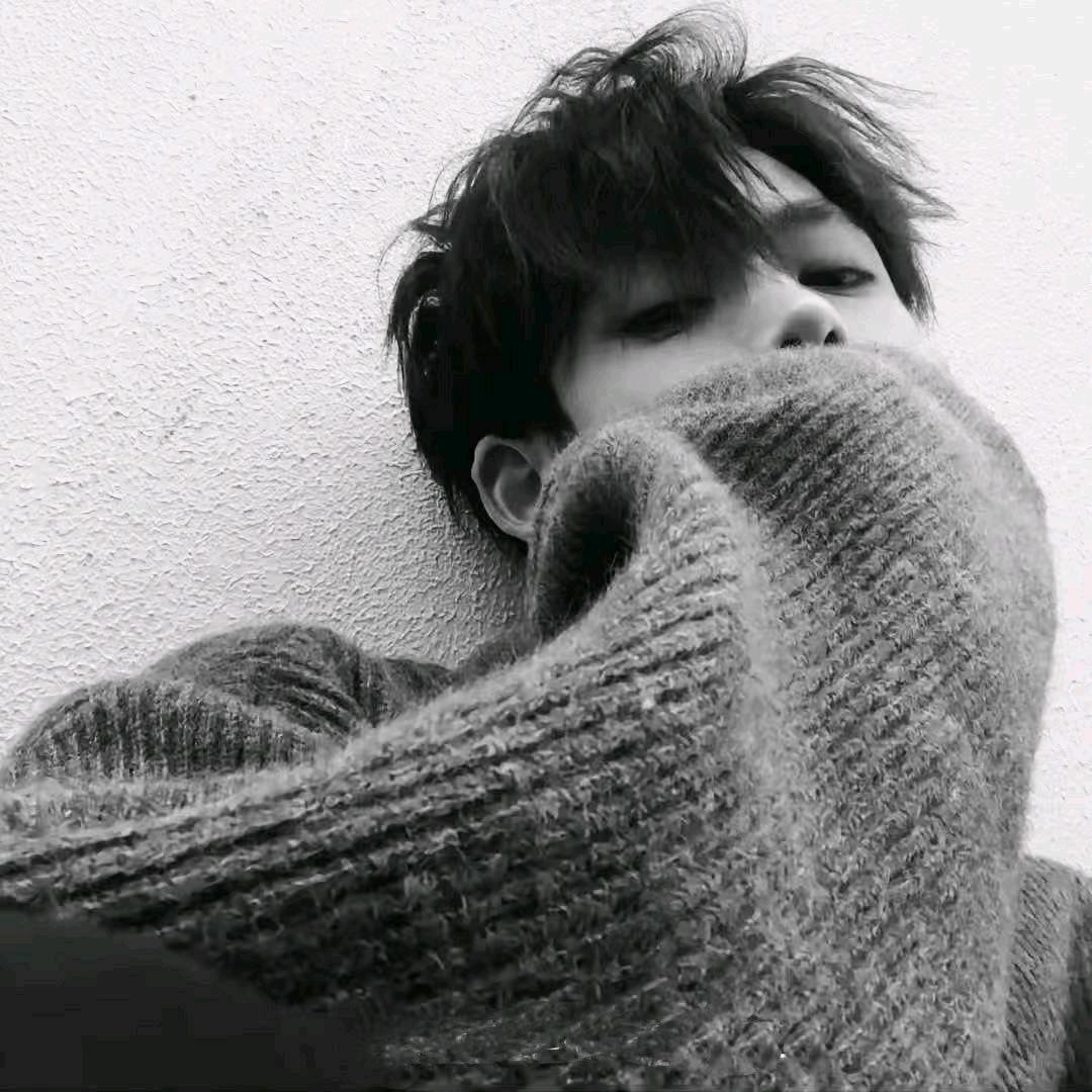 呆呆（休休）