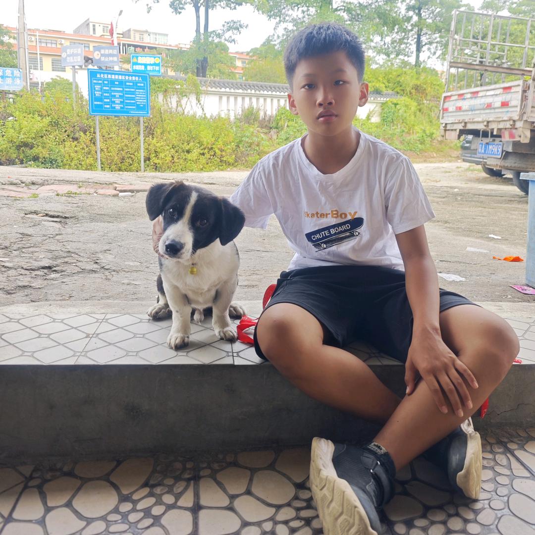 凯凯妈妈