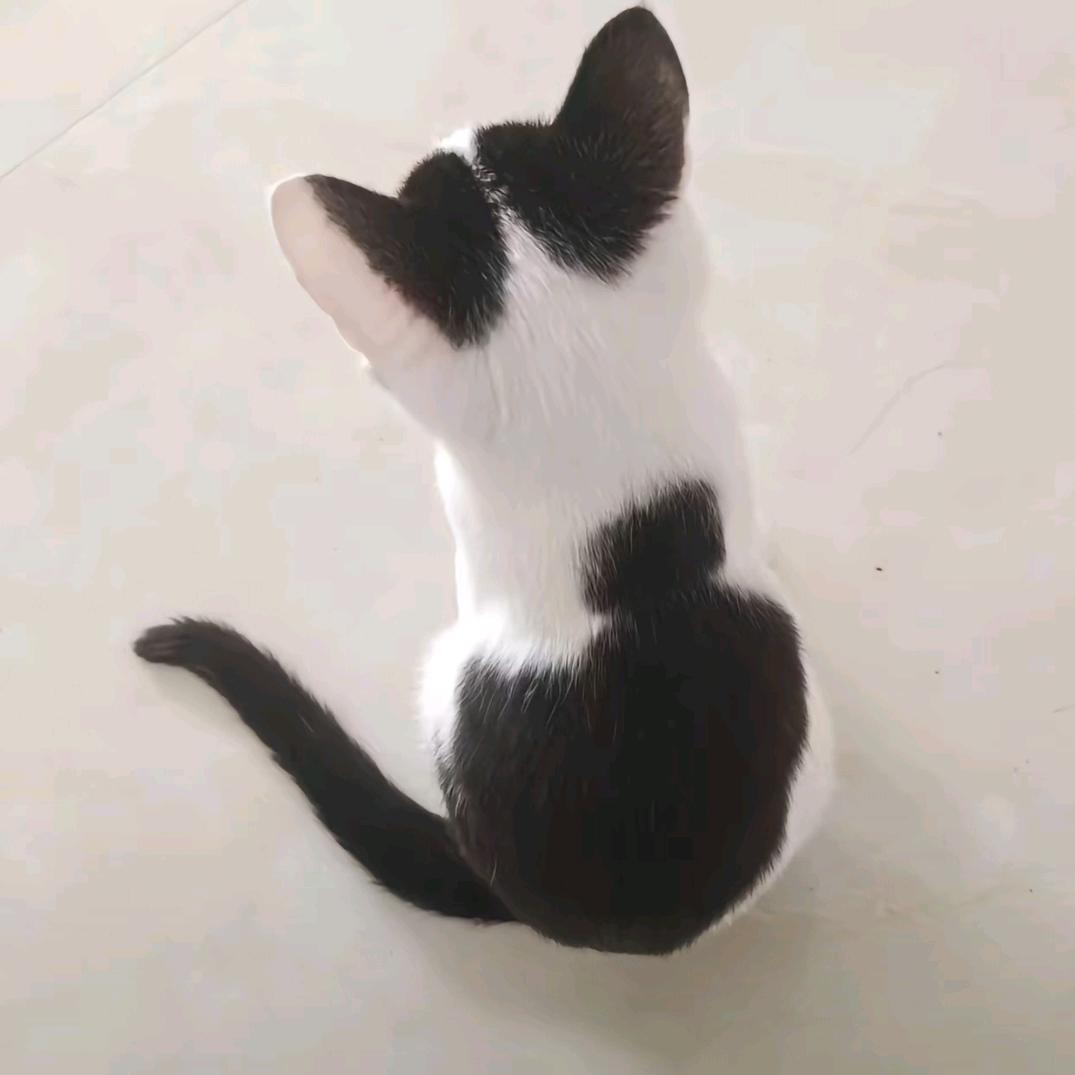 小果