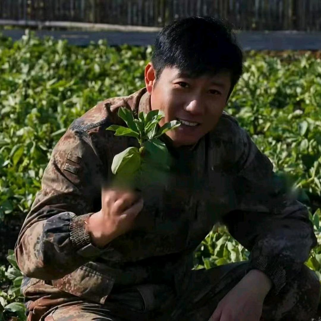 风禾尽起