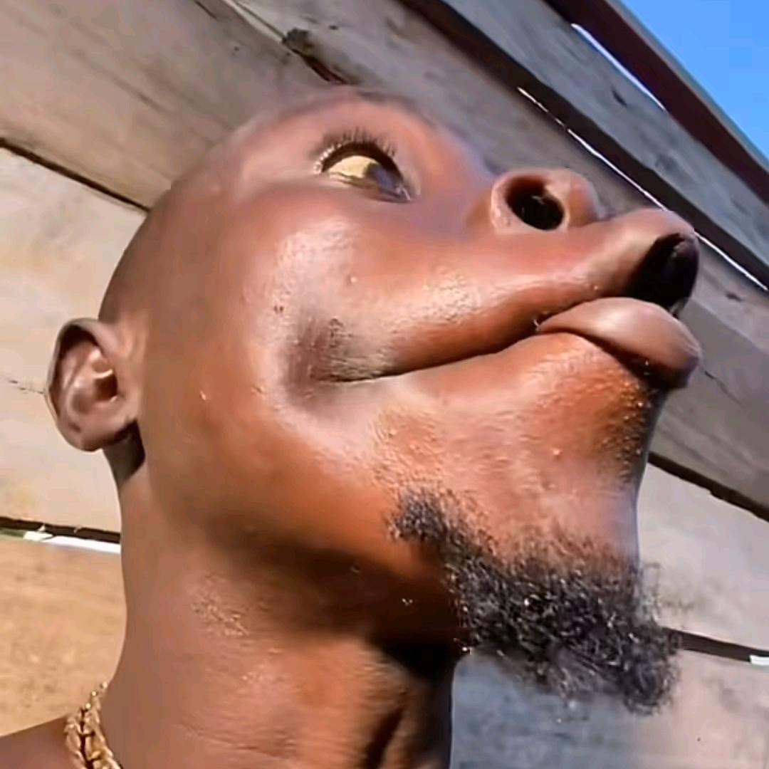 甄鸣影的喇叭声