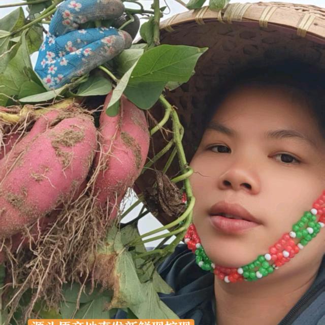 海南生鲜农业（正宗桥头富硒地瓜）