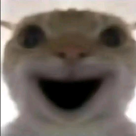 电竞王艳兵（三角洲行动）