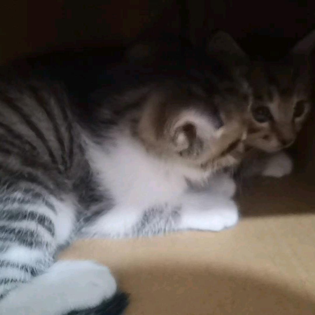 扎西德勒~