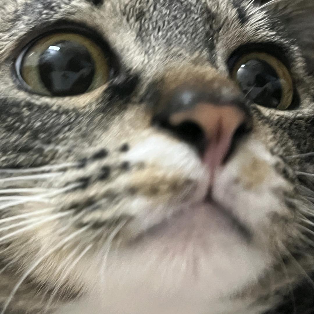 huang