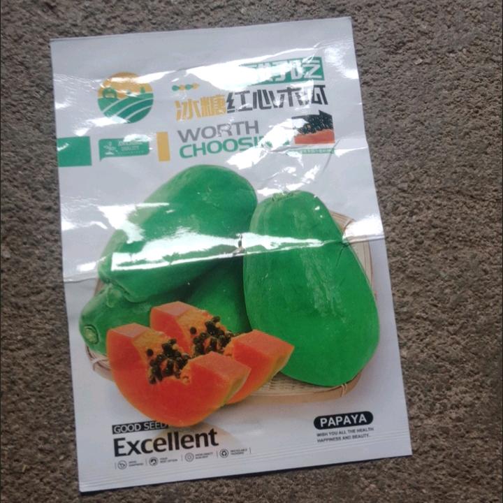 爱哭的小草