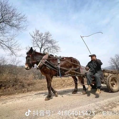 辽E，9889