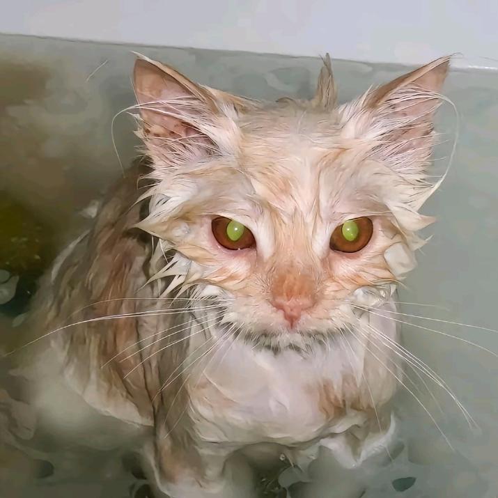 背影很୧⍤⃝帅（求推荐）