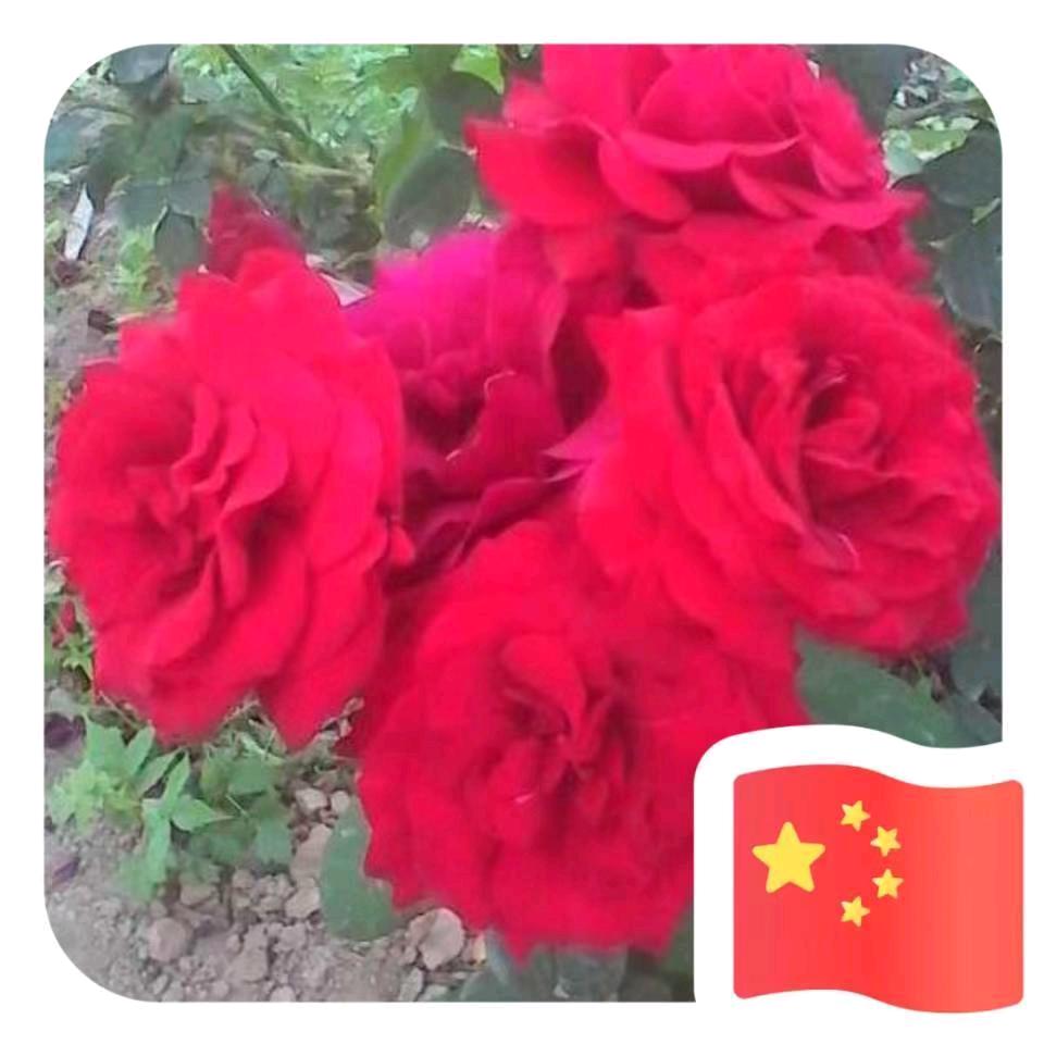 奋斗2