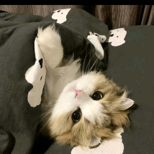 给我一口可乐喝吧