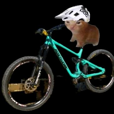 不骑法斯特（尔滨最强法斯特）🚳🚳🚳