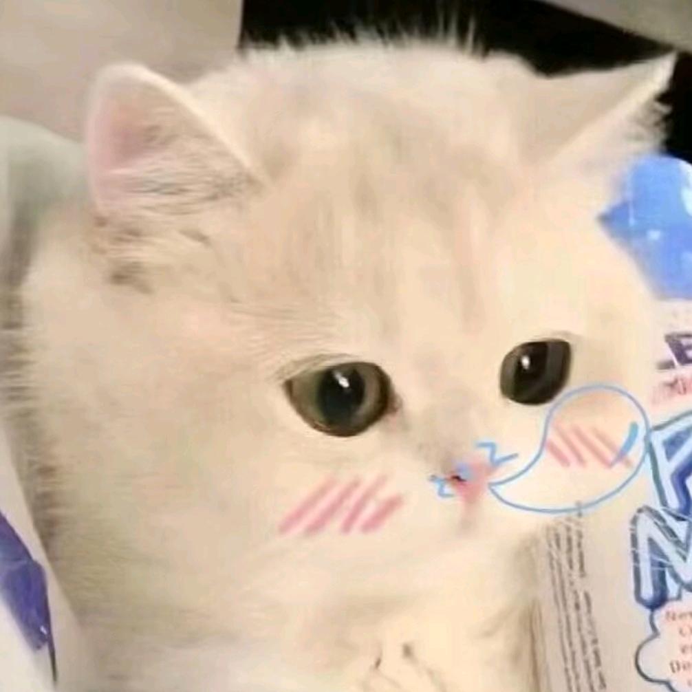 🚬ღ໊故事祉于盛夏࿐ᩚ
