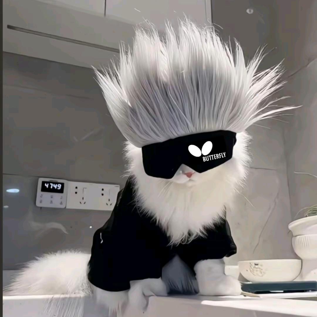 澜澜不会打乒乓