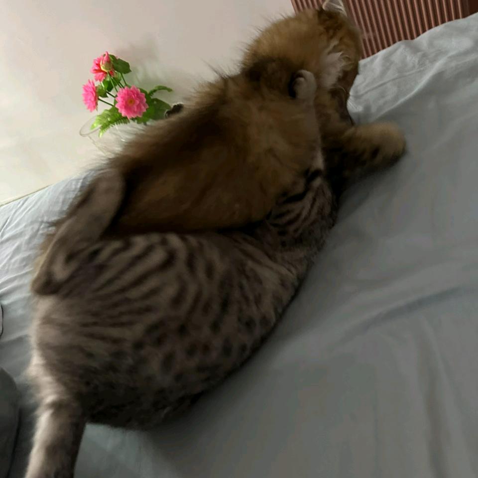 ？？！！？？？！！！