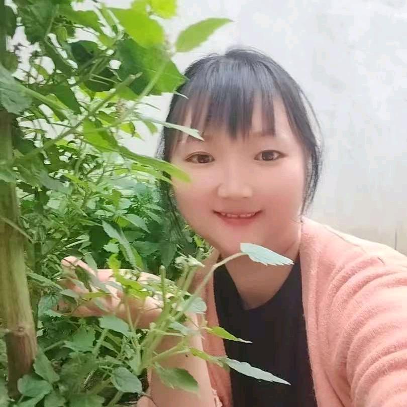 幺妹儿（下午4:00）