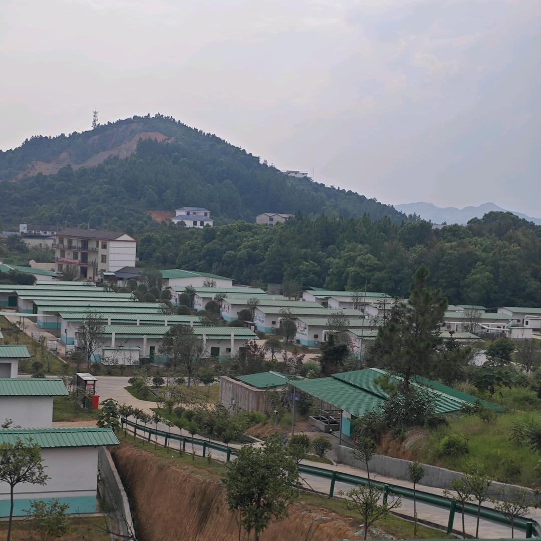 大阳哥的花火阁
