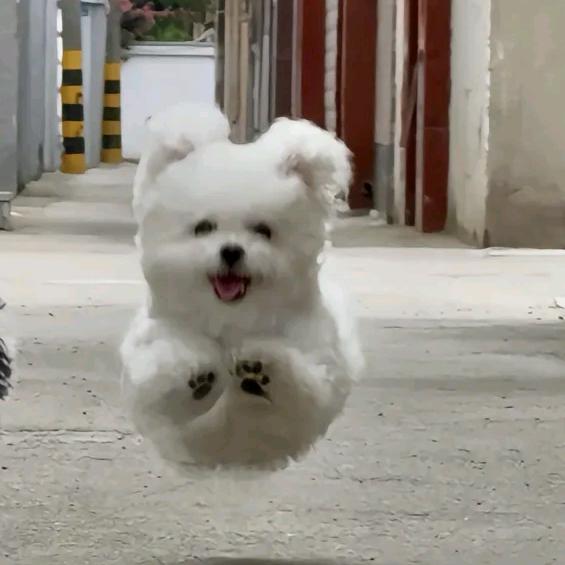 悦悦女神闪亮亮