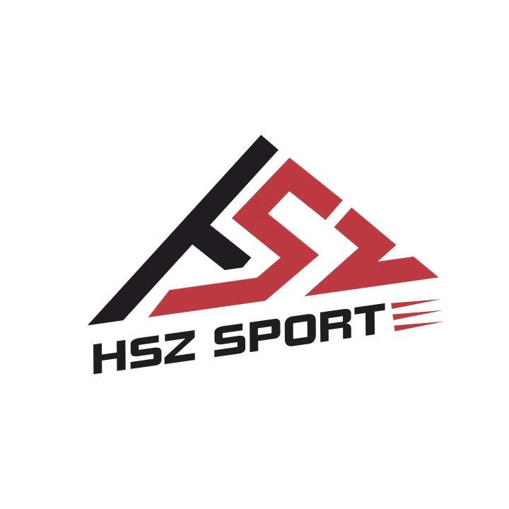 HSZ穷光蛋玩车