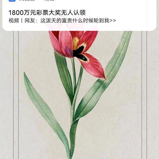 专业茶茶。点风一样