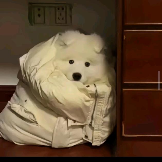 程砚秋