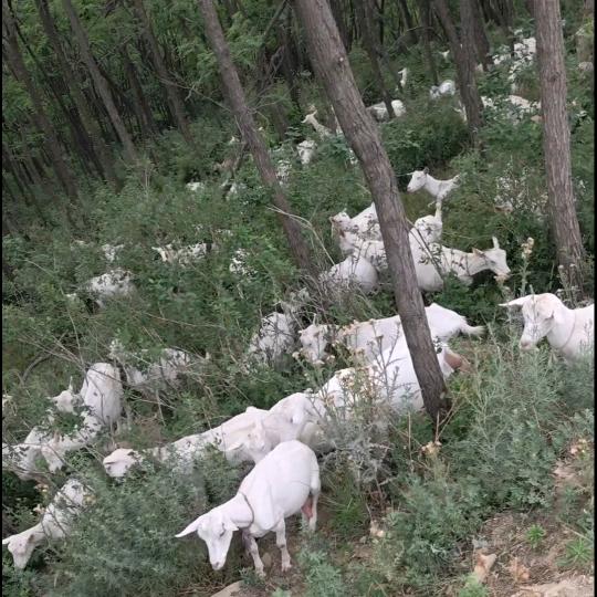 西山农场~小赵