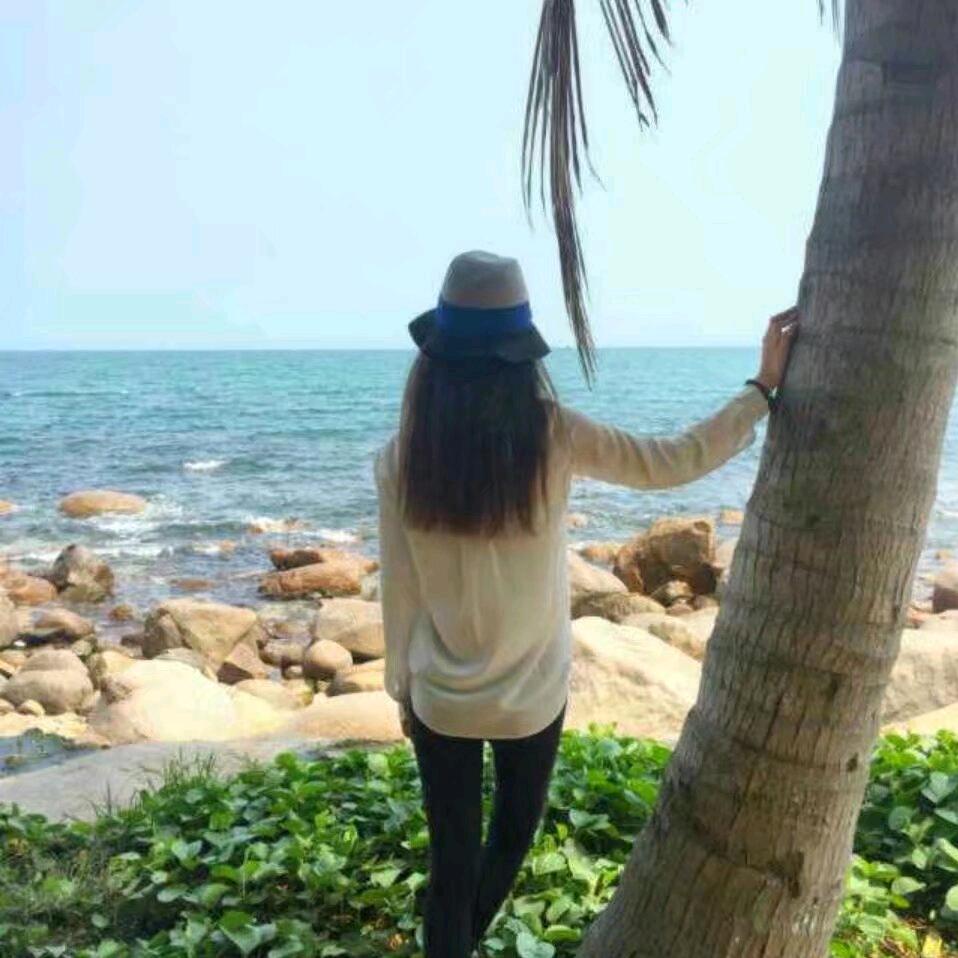 巅峰的玫瑰