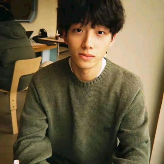 庭中三千梨花树