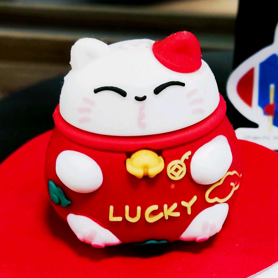 抓猫的鱼