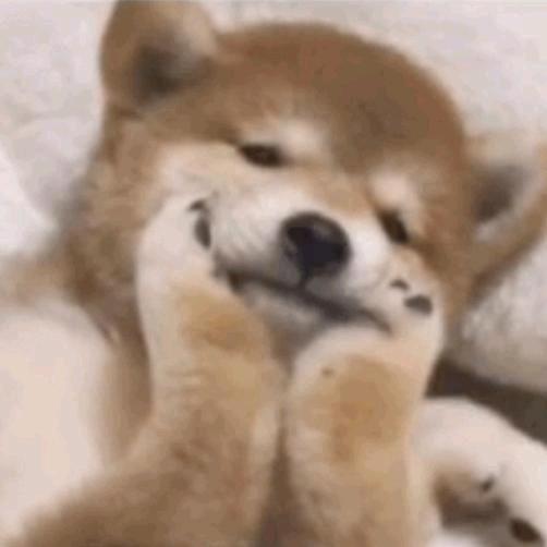 玉律