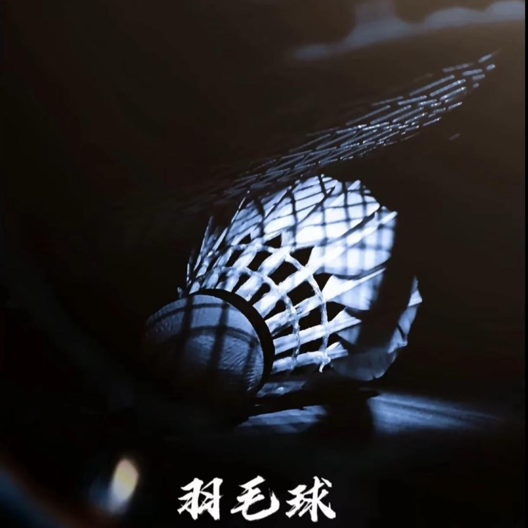 羽落星辰🏸🏸