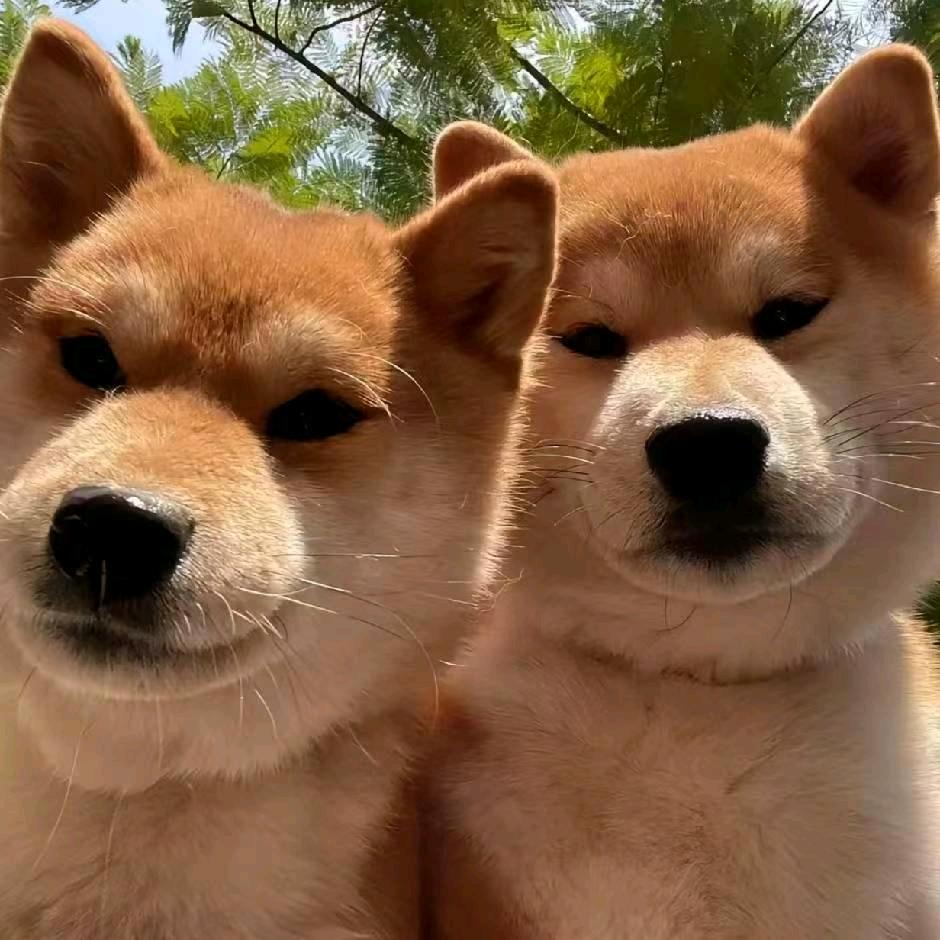 金满仓