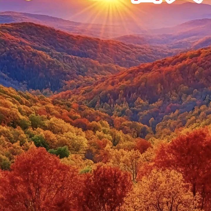 💞一花一世界💞