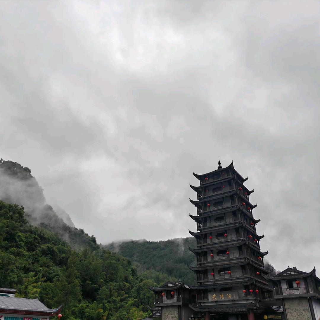 莫言，净心