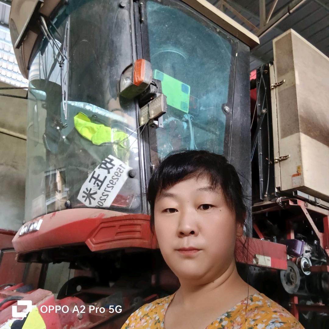 收割麦玉米的，张家的姑娘，陈家的媳妇