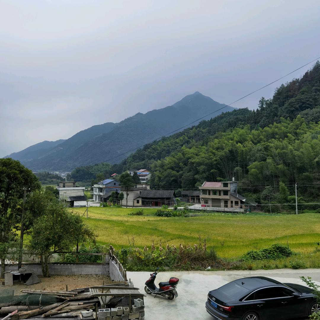 清泉淌過苹果园